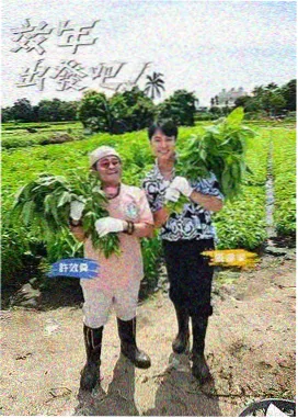 披荆斩棘的哥哥